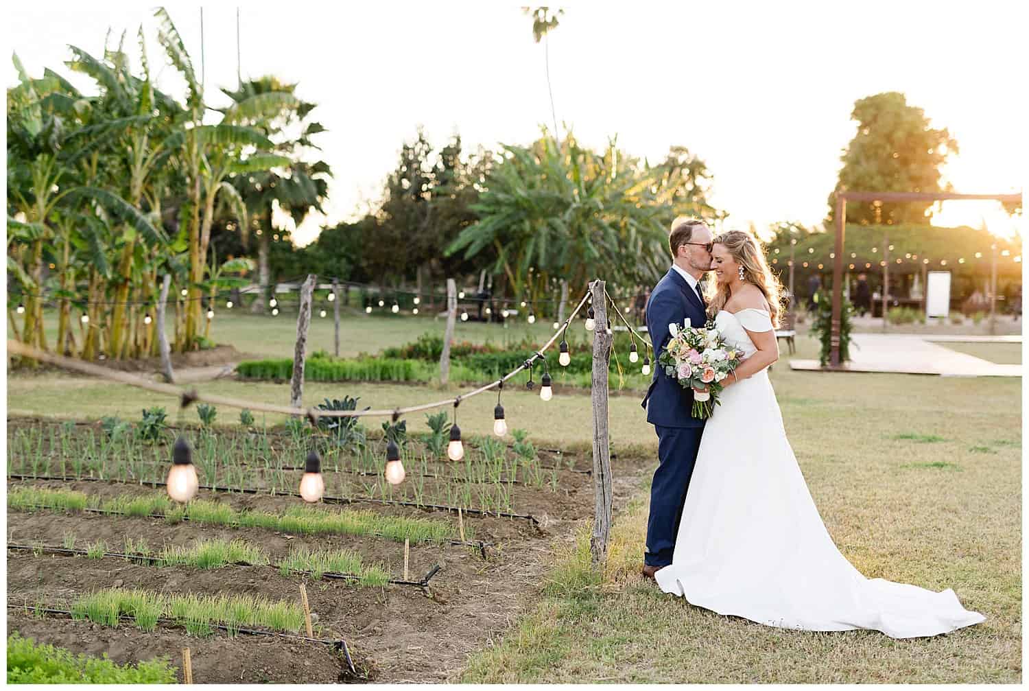 los-tamarindos-wedding-cabo-wedding-photographer-sara-richardson-photography_1293
